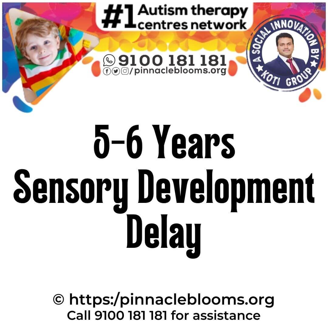 Sensory and Developmental Milestone Delay in 5-6 Years Old | Pinnacle Blooms Network